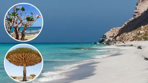 To jedna z najbardziej tajemniczych wysp na świecie. Rajskie plaże i krajobraz jak z innej planety