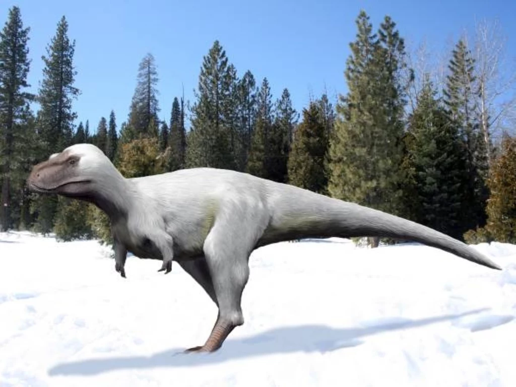 Polarny tyranozaur zwany Nanuqsaurus