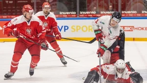 Reprezentacja Polski w hokeju na lodzie