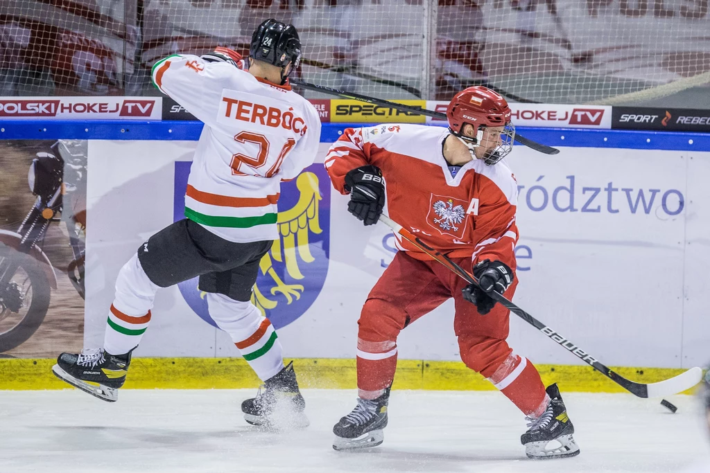 Kadr z meczu Polska - Węgry Kadr z meczu Polska - Węgry