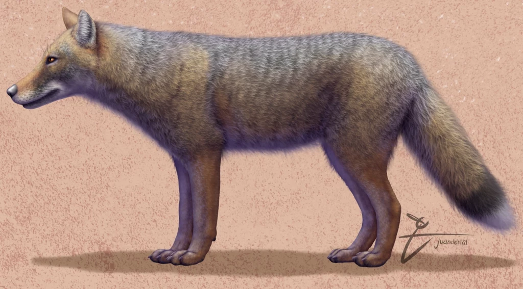 Dusicyon avus - wymarły gatunek lisa z Ameryki Południowej. Mógł być udomowiony