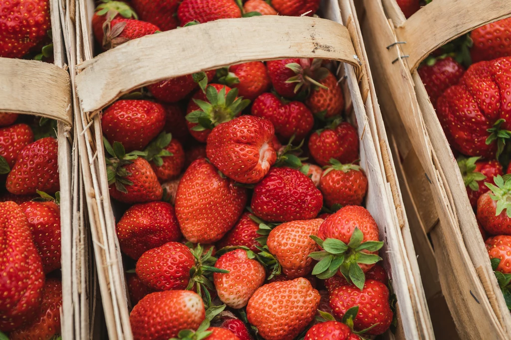 Sezon na truskawki zbliża się wielkimi krokami. Co wpływa na ostateczną cenę owoców? 