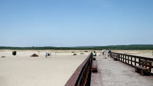 „Polska Sahara" godzinę drogi od Krakowa. Nowa ścieżka rowerowa i darmowe punkty widokowe 