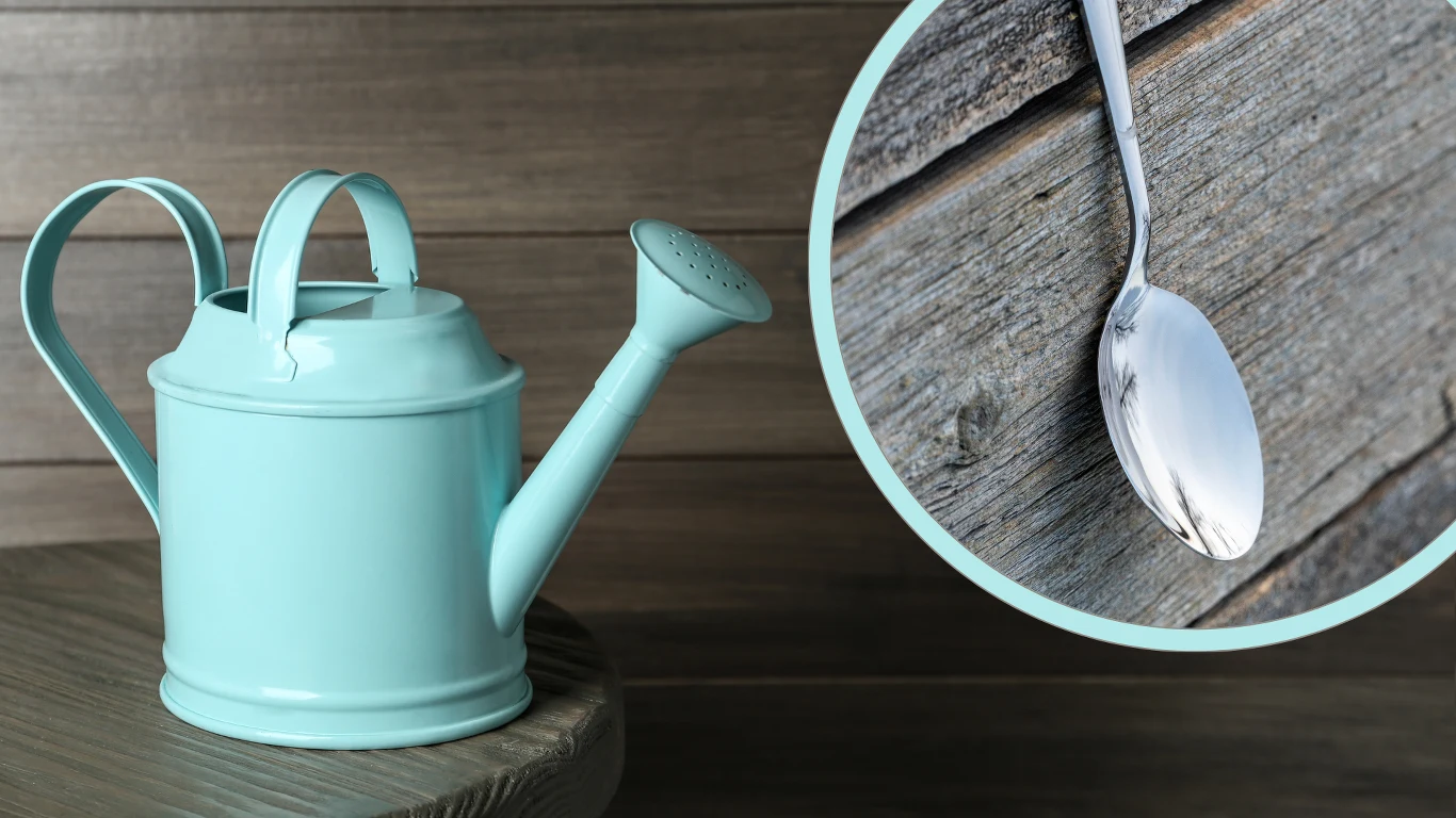 ​Prosty trik z konewką i łyżką. Twoje uprawy już zawsze będą idealnie podlane