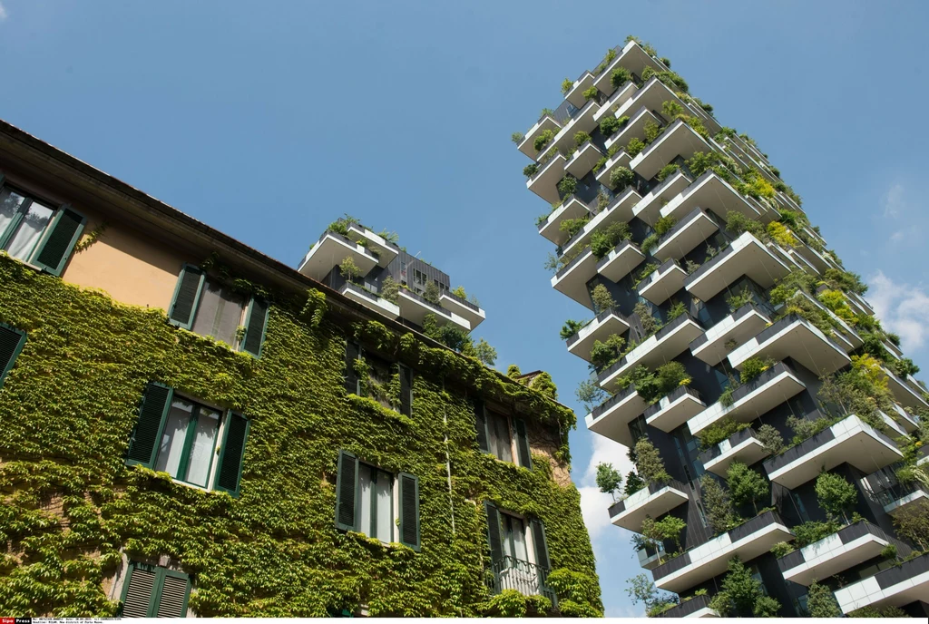 Wieżowiec Bosco Verticale we Włoszech - jeden z podręcznikowych przykładów nowoczesnej, zielonej architektury miasta
