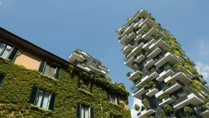 Wieżowiec Bosco Verticale we Włoszech - jeden z podręcznikowych przykładów nowoczesnej, zielonej architektury miasta