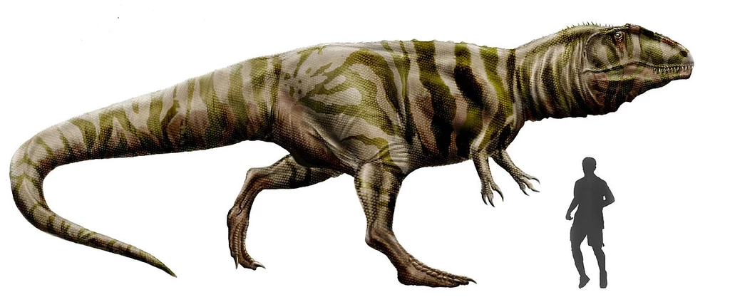 Giganotozaur - jeden z największych mięsożernych dinozaurów Ameryki Południowej