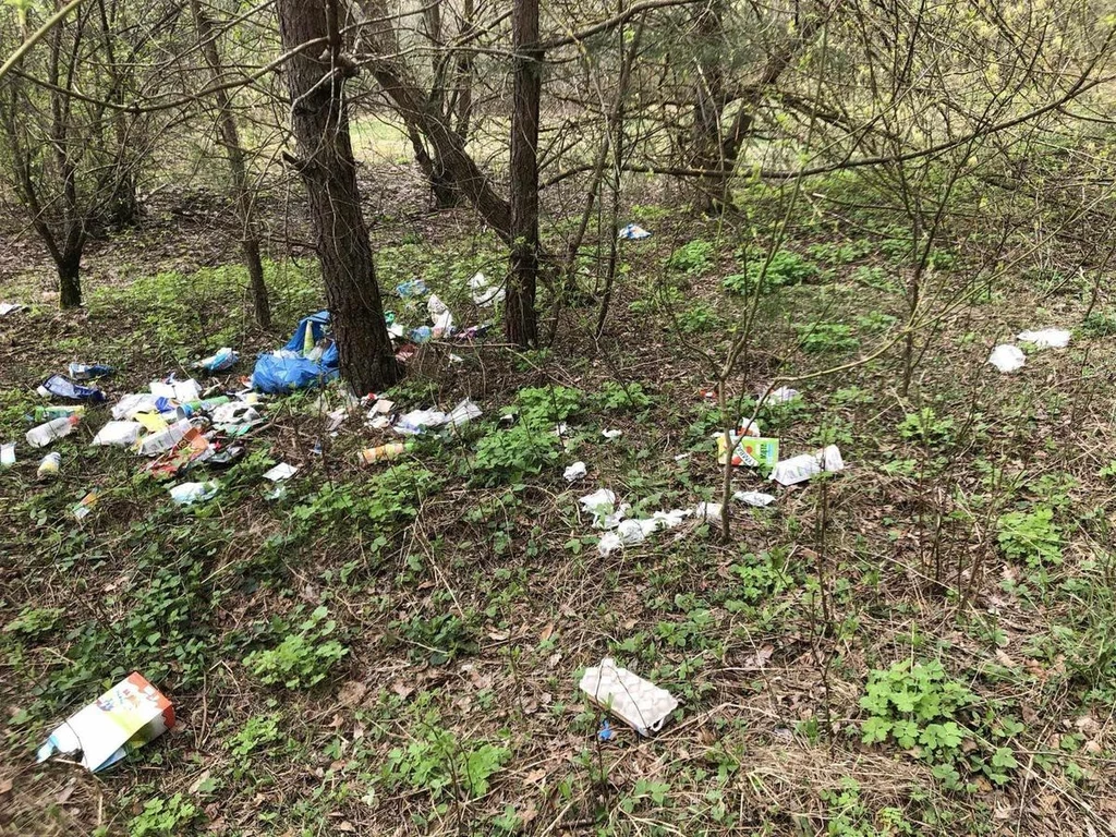 Śmieci rozrzucone po lesie. Zaskoczona wizytą policji mieszkanka Podlasia przyznała się do winy
