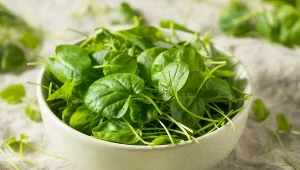 Rukiew dodaj do sałatki, połóż na kanapkę lub dorzuć do koktajlu