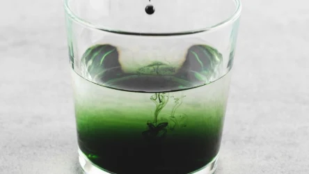 Jak przygotować napój z chlorofilu? 