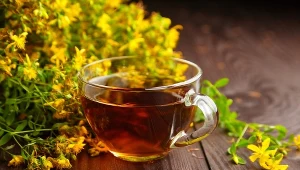 Dziurawiec jest naturalnym środkiem przeciwbakteryjnym, wspomaga też leczenie ran i infekcji 