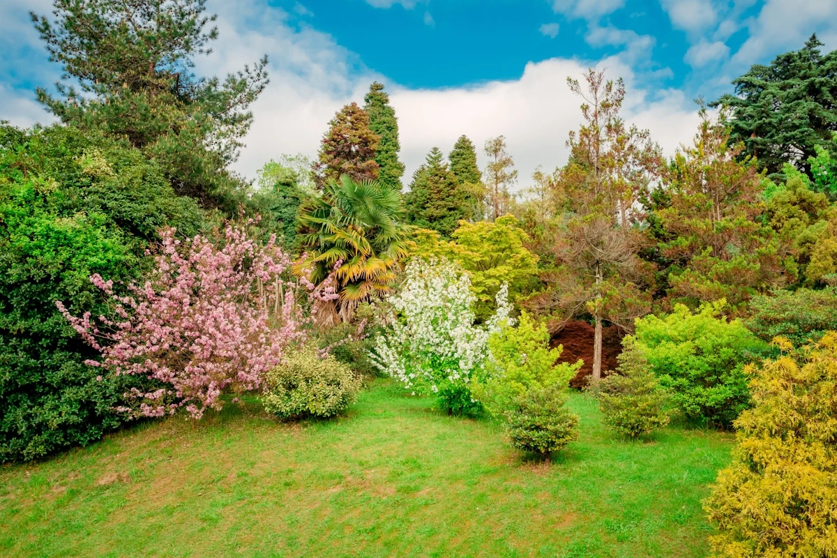  Jak zrobić pułapkę na ślimaki? To prostsze niż myślisz.