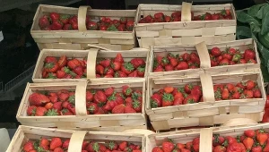 Na bazarach pojawiły się truskawki z importu. Zdjęcie ilustracyjne. 