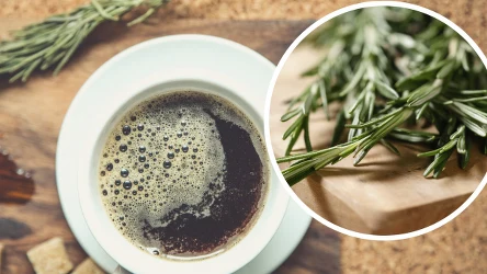 Rozmarynowa kawa na odchudzanie | Fot.123RF/Picsel