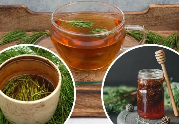 Napary wiosenne wzmocnią odporność i zwalczą objawy przeziębienia | Fot.123RF/Picsel Napary wiosenne wzmocnią odporność i zwalczą objawy przeziębienia | Fot.123RF/Picsel