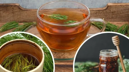 Napary wiosenne wzmocnią odporność i zwalczą objawy przeziębienia | Fot.123RF/Picsel