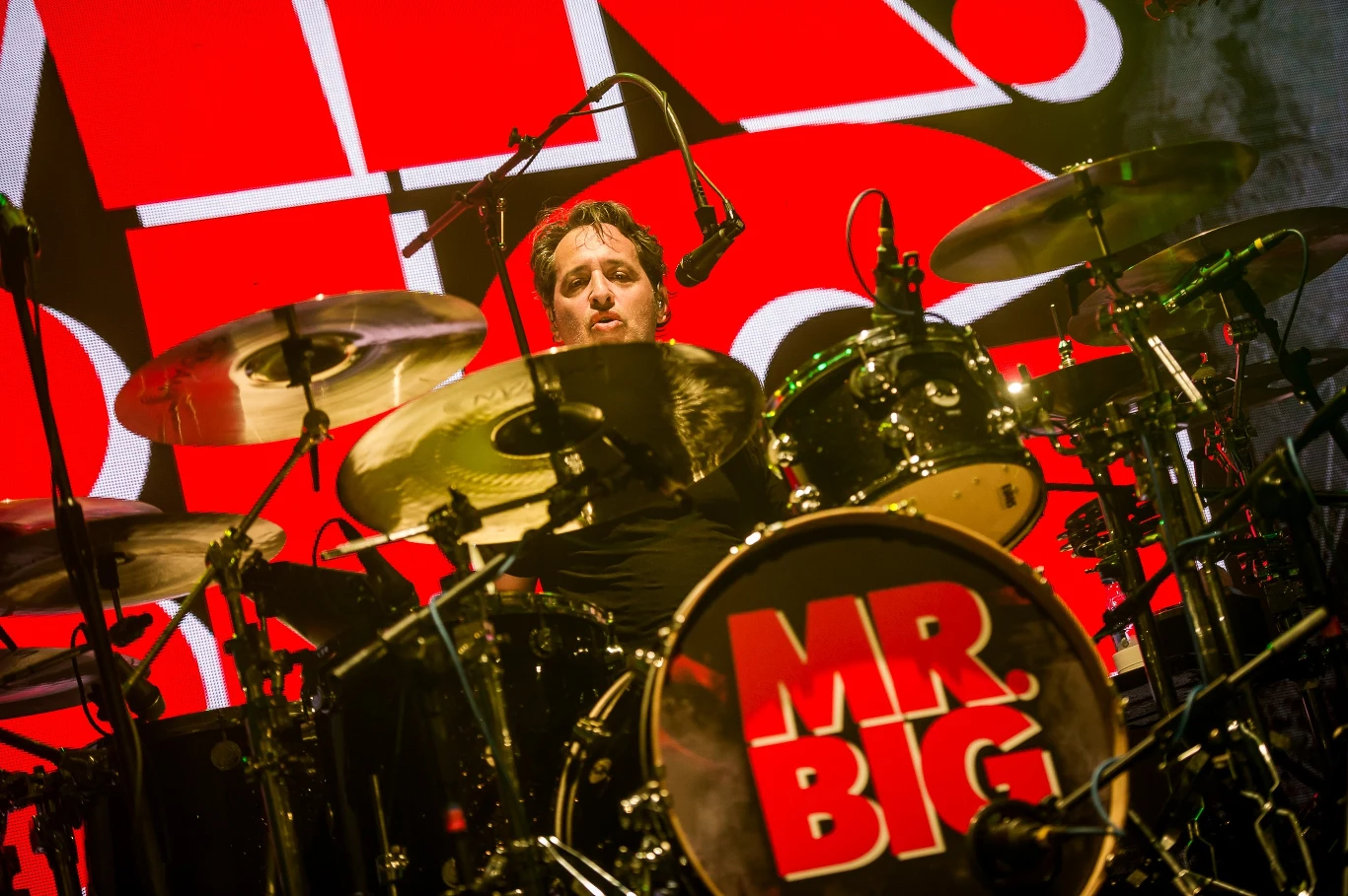 Zobacz zdjęcia z koncertu grupy Mr. Big w Warszawie!