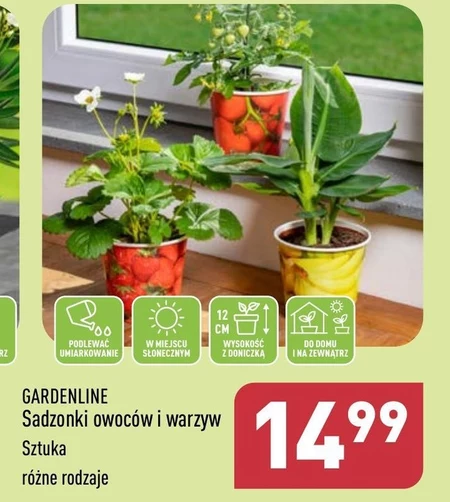 Sadzonka Gardenline