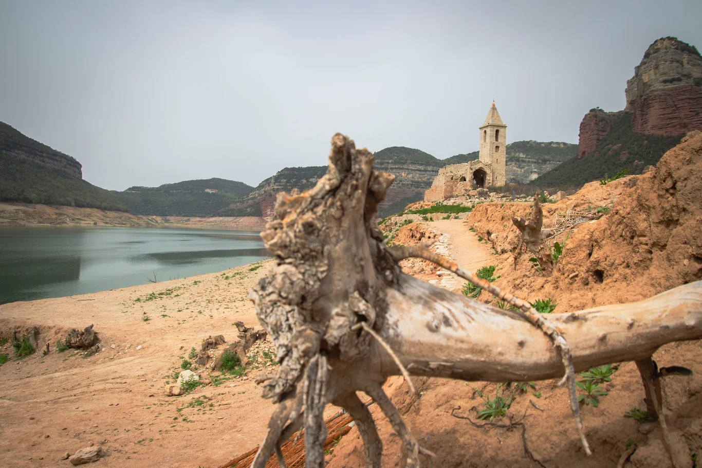 Susza w Hiszpanii. Susza w Hiszpanii.