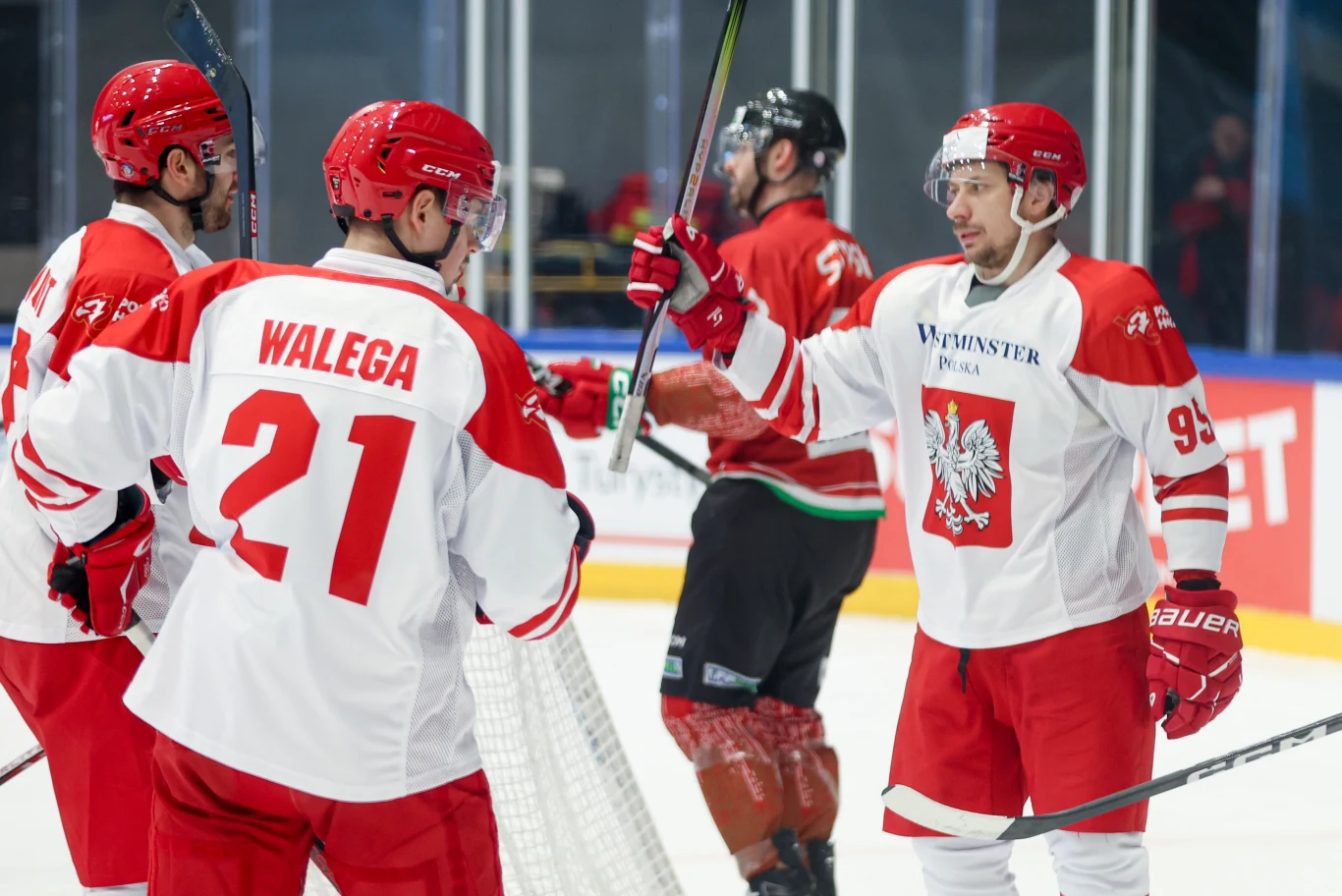 Mecz Polska - Węgry