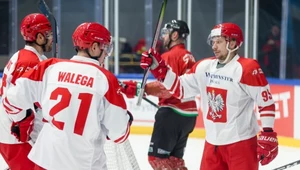 Mecz Polska - Węgry