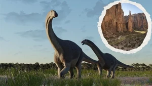 Dinozaur znaleziony w Argentynie kompletnie zaskoczył naukowców