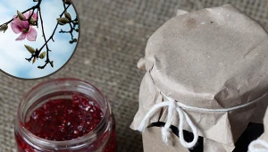 Mało kto wie, że jest jadalna, a ja robię z niej dżem. Przepis zdradziła mi babcia