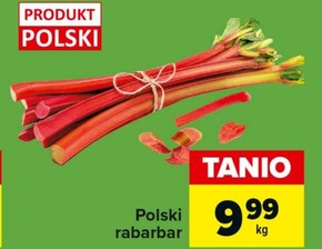 Rabarbar Polski niska cena