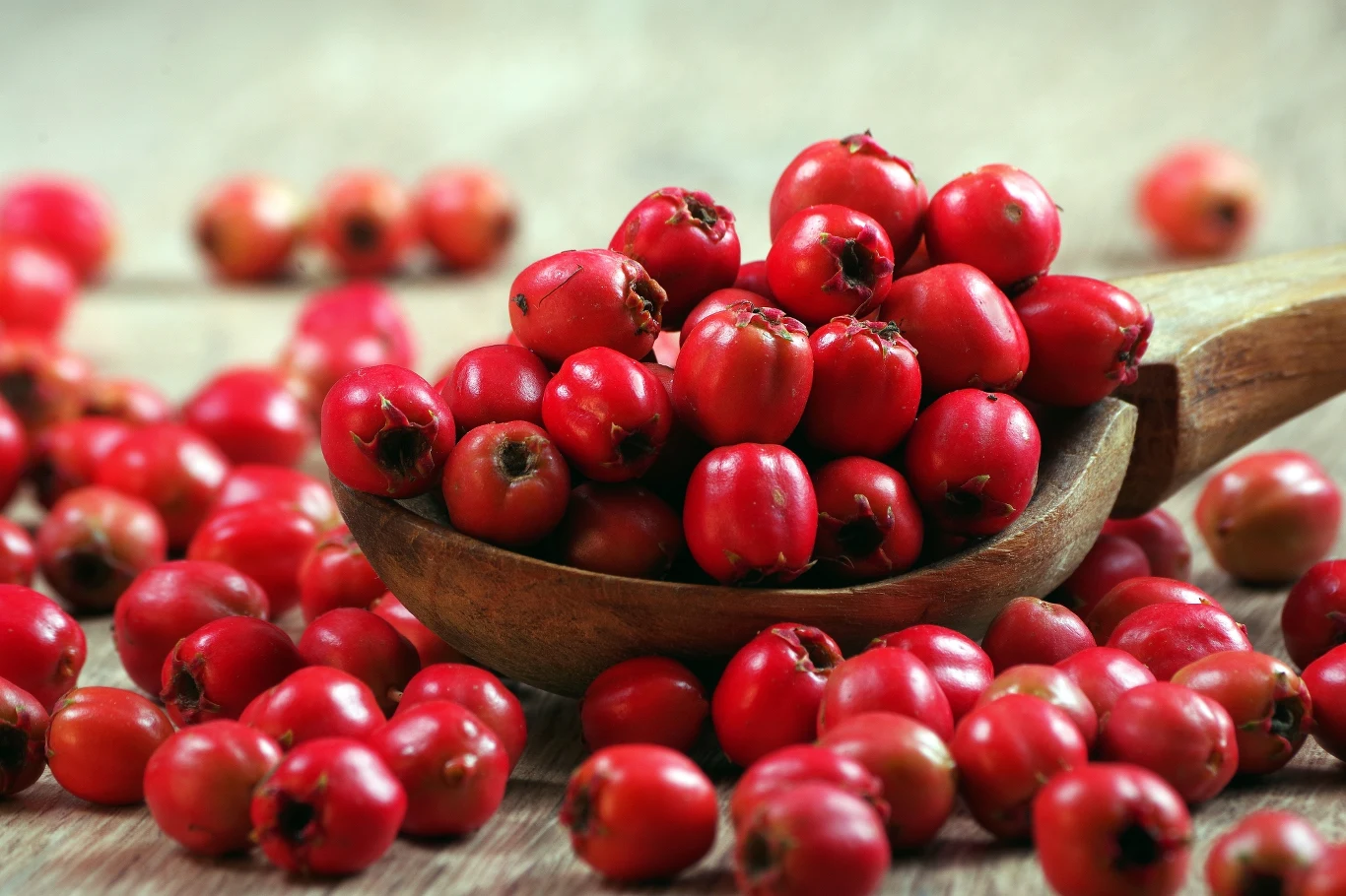 Głóg jest dobry nie tylko dla serca, ale też np. układu pokarmowego czy mózgu