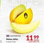 Melon Netto