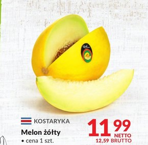 Melon Netto niska cena