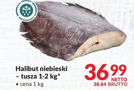 Halibut Netto