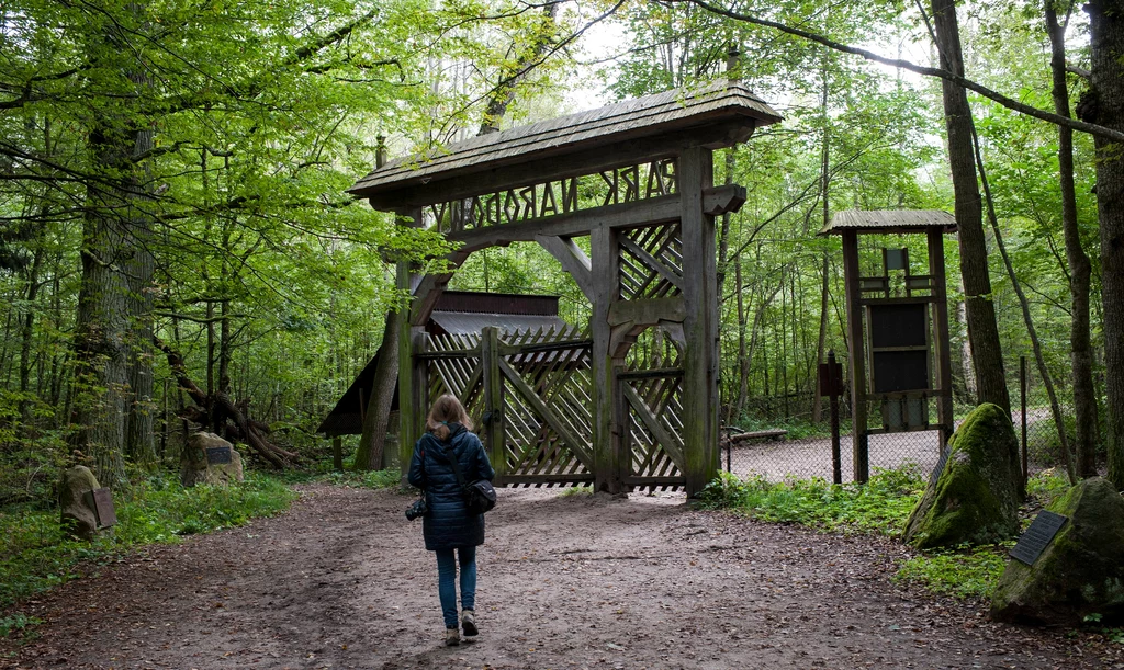 Rezerwat ścisły Białowieskiego Parku Narodowego, brama wejściowa