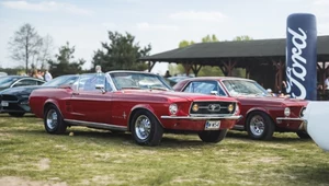 Ford Mustang świętuje 60 lat. Rekordowa impreza w historii Polski