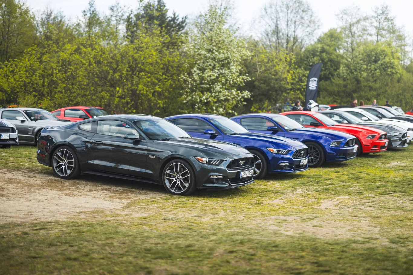 W Łochowie zjawiło się 515 Mustangów.