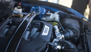 USA ratują spalinową motoryzację? Jest coś gorszego od gazów cieplarnianych 