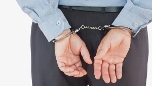 Za nielegalny handel pokemonami Japończykowi grozi surowa kara