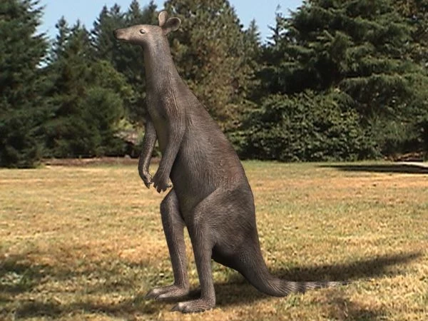 Rekonstrukcja wielkiego kangura Protemnodona
