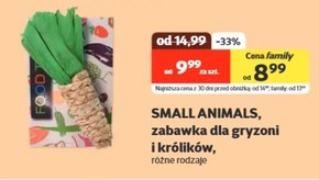 Zabawki dla gryzoni Small Animals niska cena