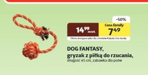 Gryzak Dog Fantasy niska cena