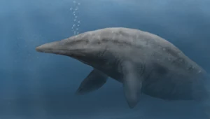 Nie wieloryby i nie dinozaury. To mogły być największe zwierzęta świata
