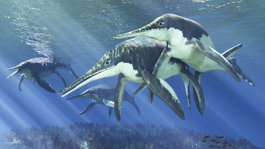 Ogromne szonizaury - ichtiozaury z epoki triasu
