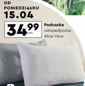Poduszka ortopedyczna Aloe Vera niska cena