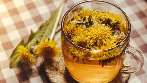 Odchudza, oczyszcza krew, jest dobry dla skóry. Rośnie na każdym trawniku