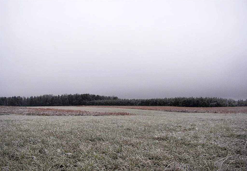 Chmura warstwowa stratus