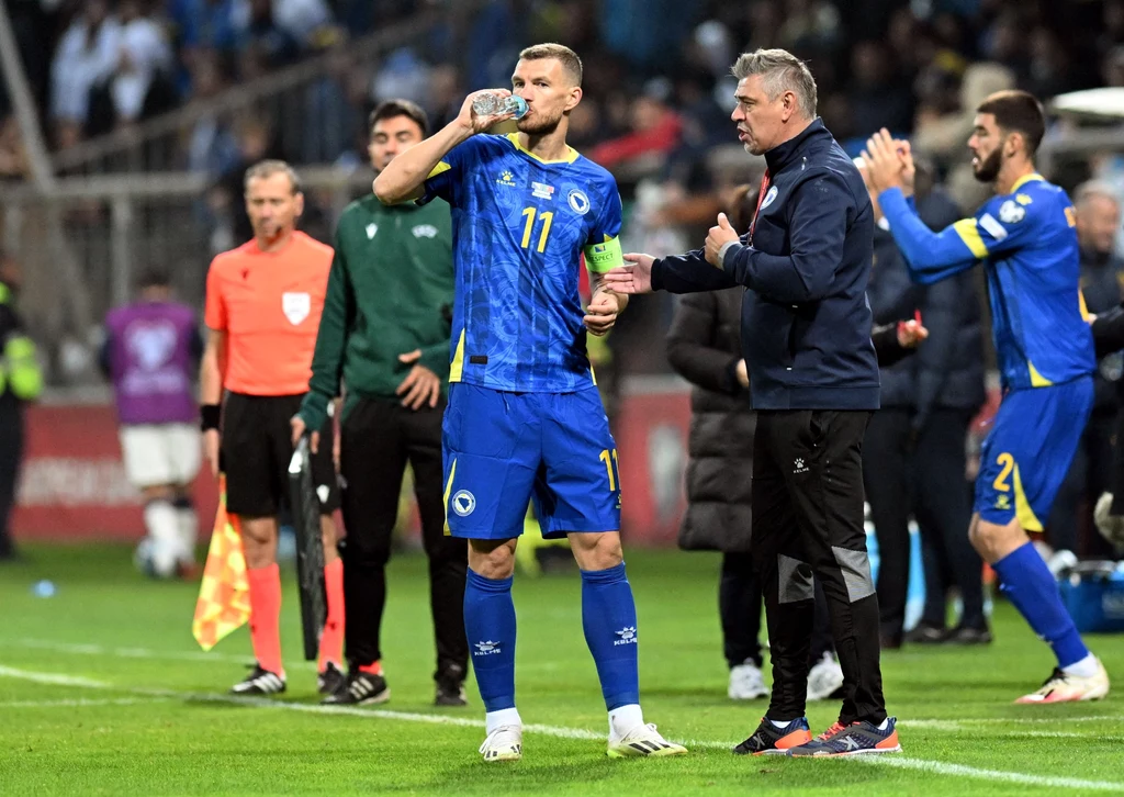 Reprezentacja Bośni i Hercegowiny