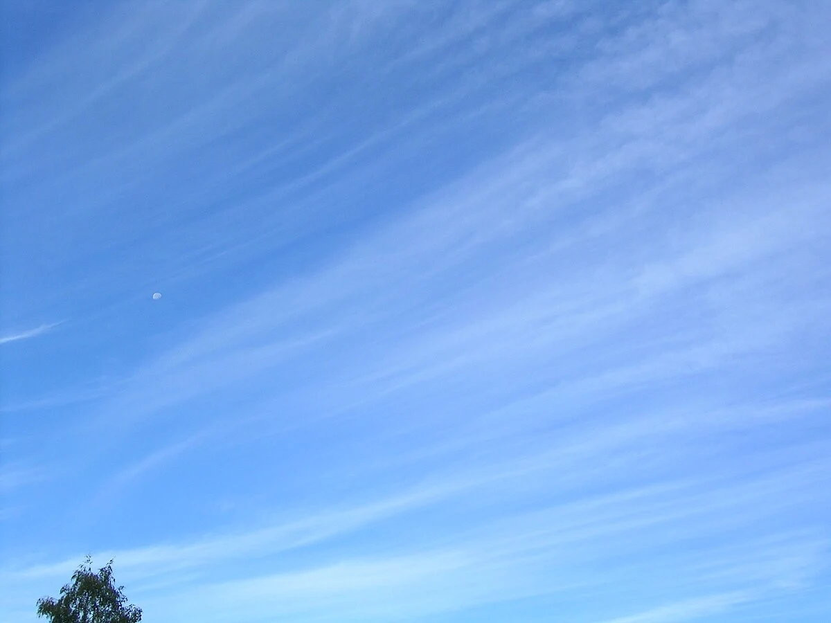 Cirrus