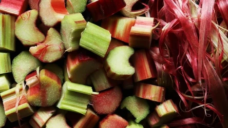 Dlaczego warto jeść rabarbar? | Fot.123RF/Picsel