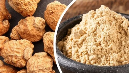 Jak stosować korzeń maca? | Fot.123RF/Picsel