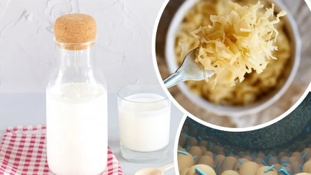 Dlaczego warto stosować probiotyki? | Fot.123RF/Picsel